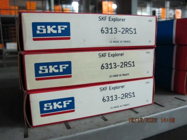 SKF Photo 119